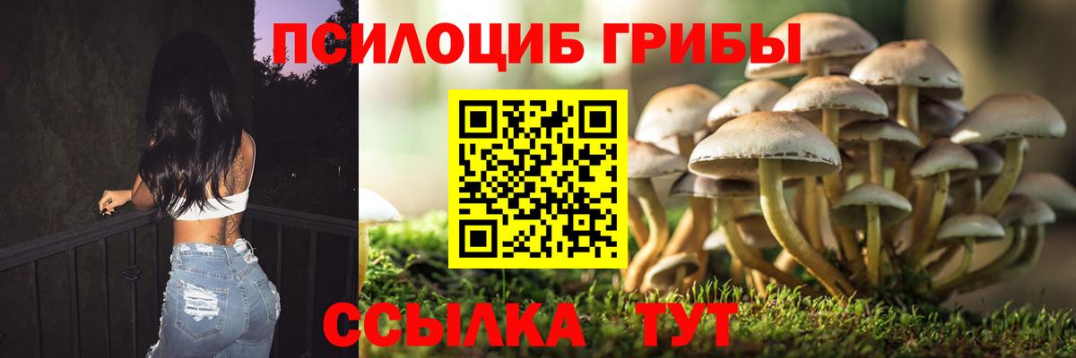 Псилоцибиновые грибы Psilocybe  наркотики  Конаково  Вход с VPN 